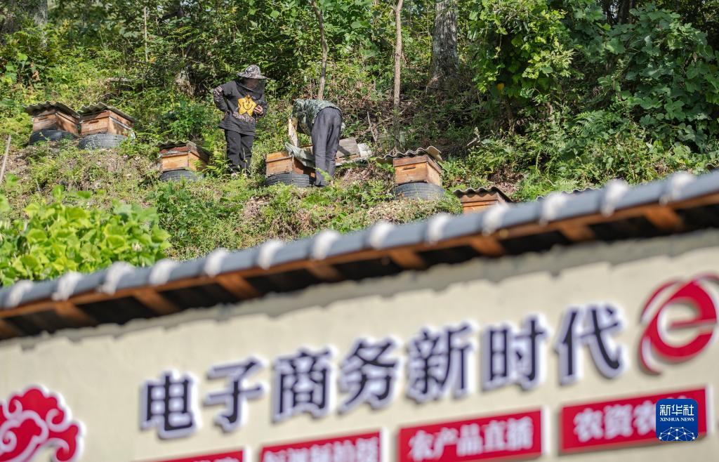 多盈策略